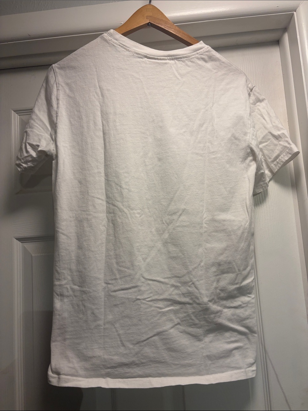 Raccoon Graphic Tee 100% cotton sz M - Picture 3 of 5